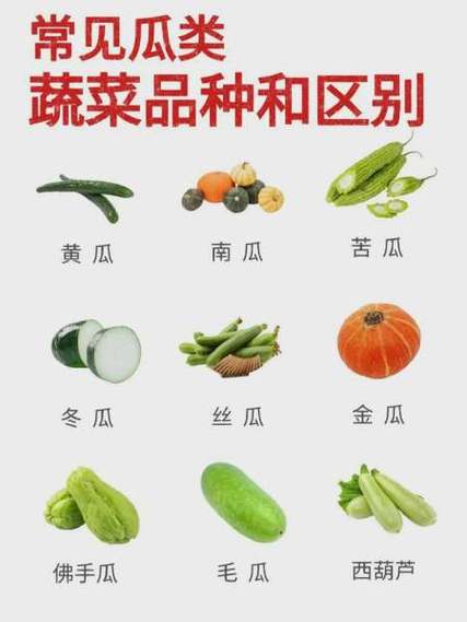 20种常见瓜类游戏截图