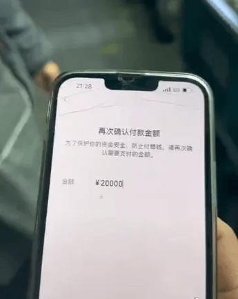 手机显示转账成功,但钱没到账游戏截图