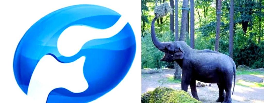 河南大象TV电视版免费缩略图