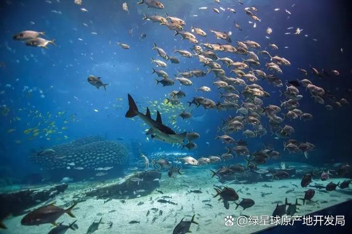 运动健身房图片缩略图
