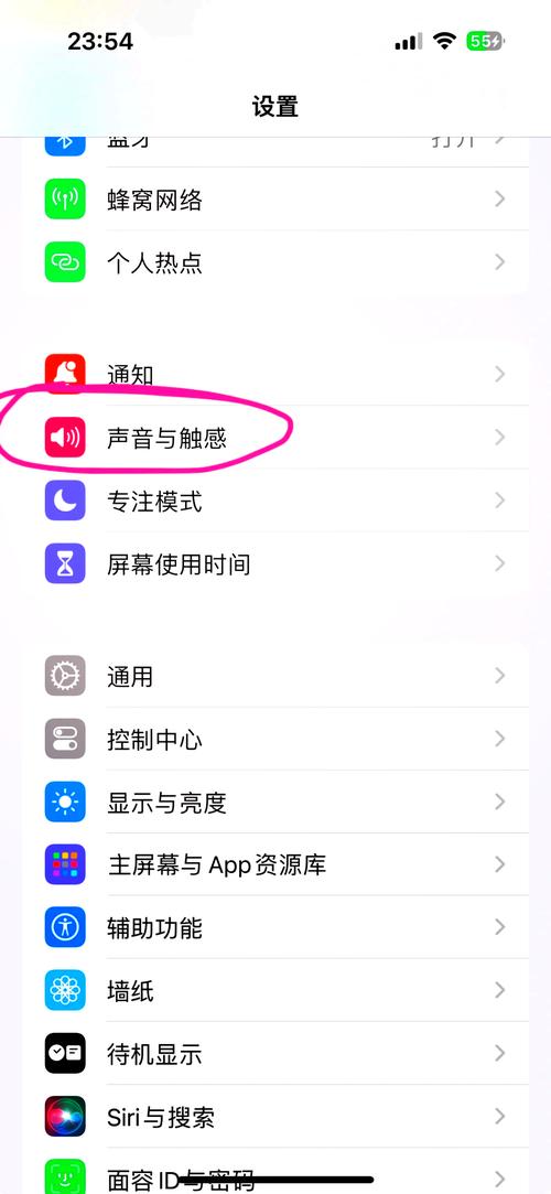 苹果手机抖音没有声音的解决方法缩略图