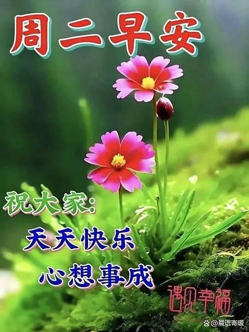 祝福玩得开心的祝福语缩略图