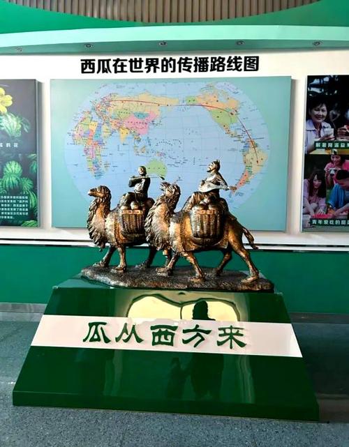 西瓜历史游戏截图
