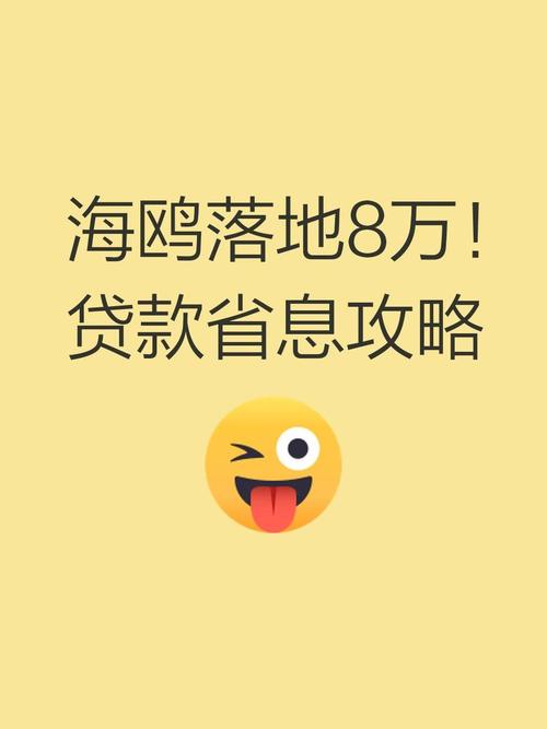 海鸥贷款app入口缩略图