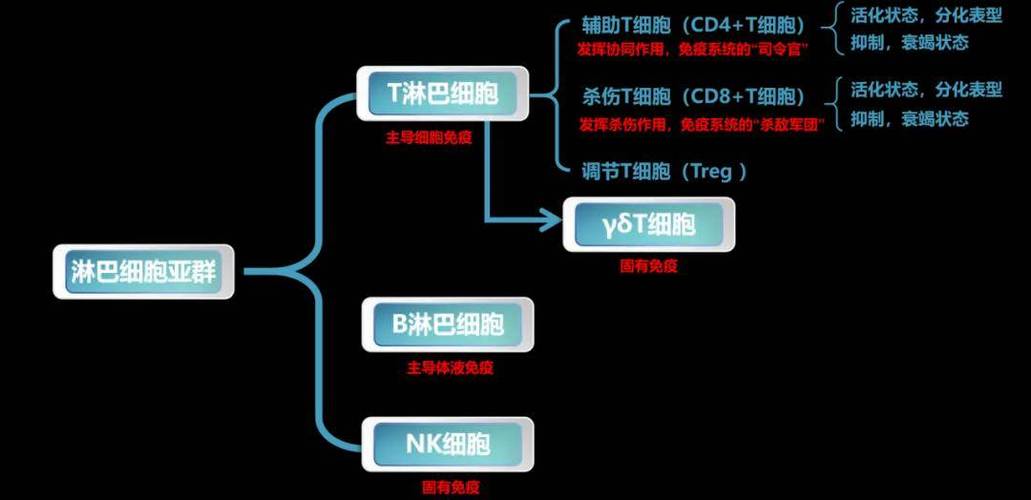 肿瘤ps1分是什么意思缩略图