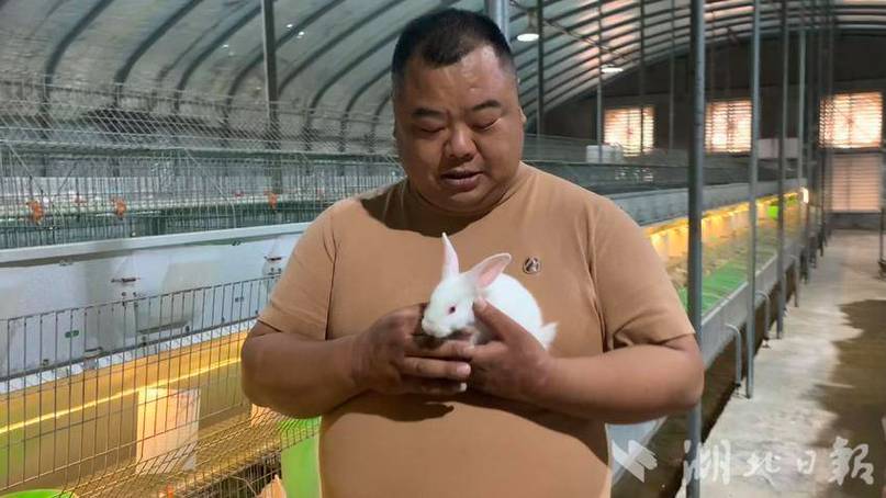 养兔一年能赚多少钱缩略图