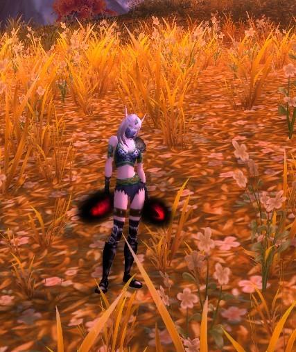 wow联盟女盗贼最美幻化缩略图