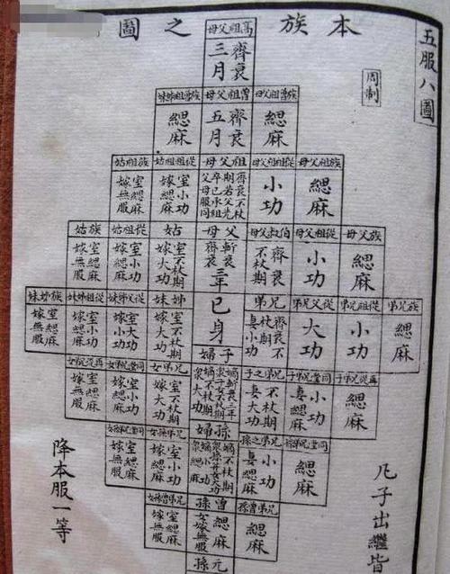五伏几代人列表图标