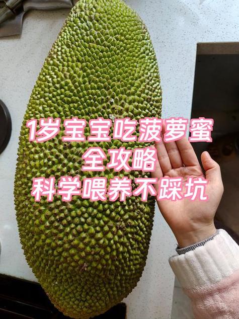 菠萝蜜的籽可以吃吗?缩略图