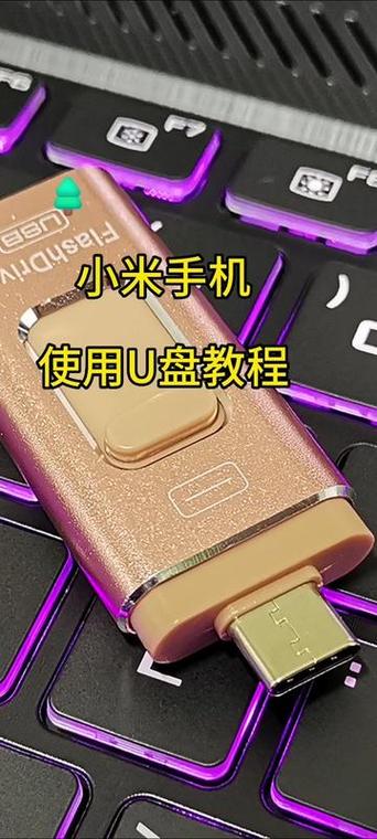 手机文件移动到u盘游戏截图