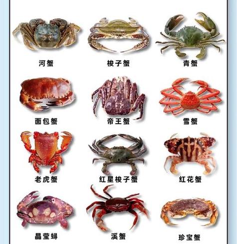 最贵蟹十大排名游戏截图