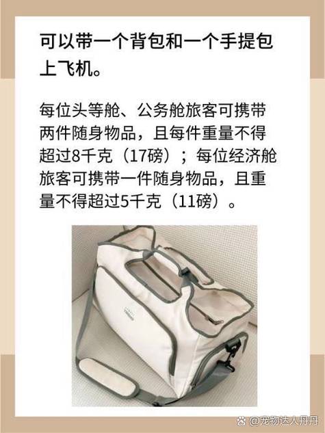 可以带背包和手提包吗缩略图