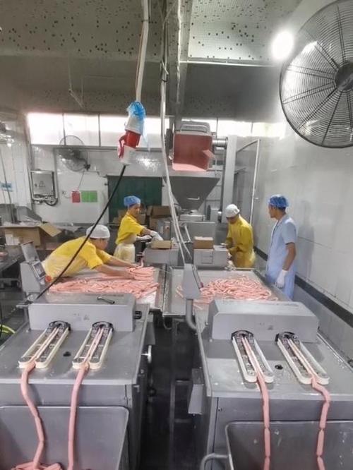 自己开个香肠加工厂游戏截图