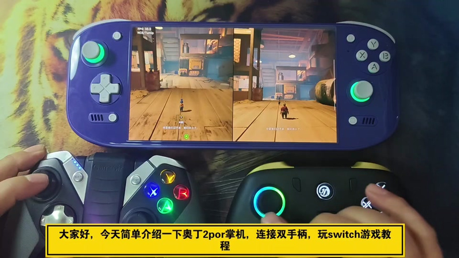 switch ons模拟器缩略图