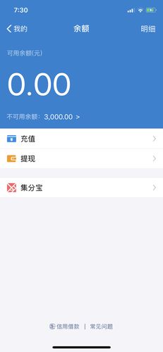 支付宝不显示余额游戏截图
