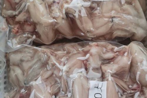 牛蛙肉多少钱一斤缩略图