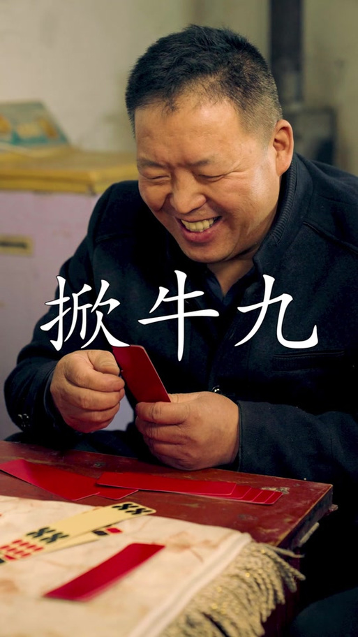 甘肃掀牛下载缩略图