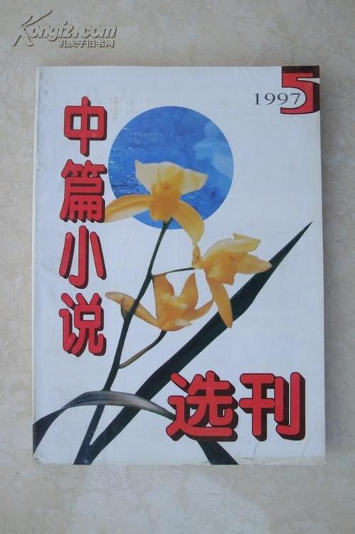 中篇小说选刊pdf缩略图