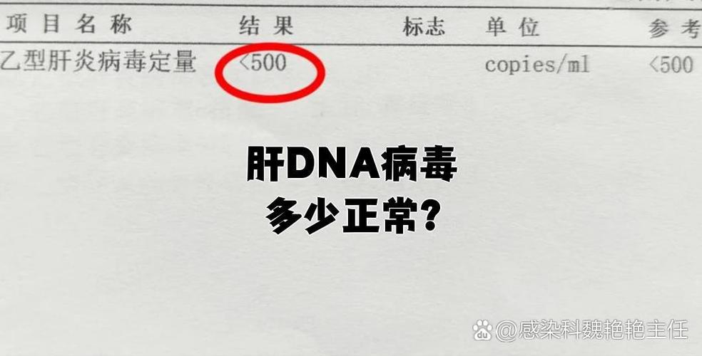 dna乙肝缩略图