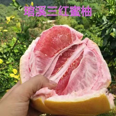 蜜柚哪里的最正宗缩略图