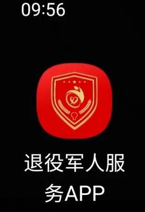 灵锡app官网退伍军人认证游戏截图