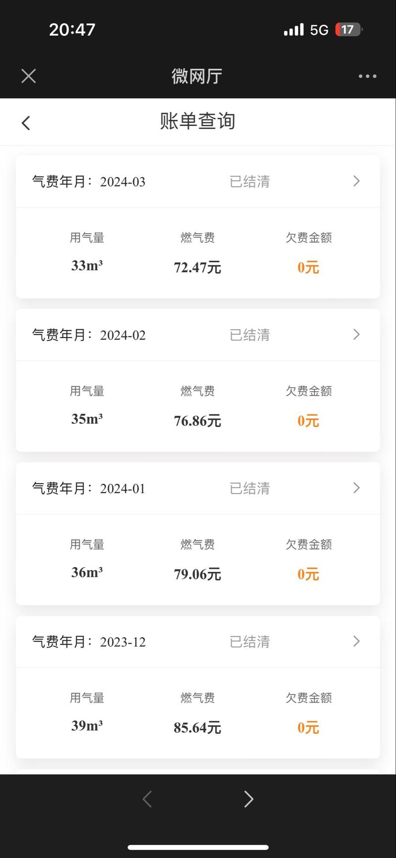 手机上怎么查燃气费余额缩略图