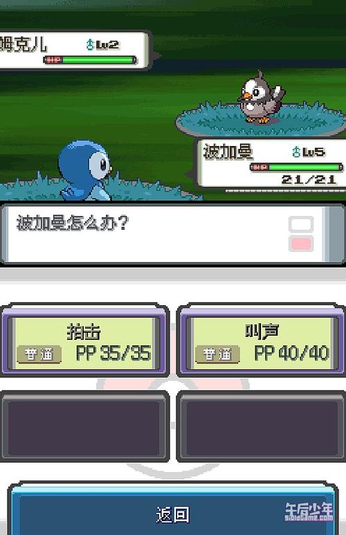 口袋妖怪nds802改版游戏截图