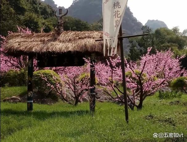 关于桃花岛的游戏名字缩略图