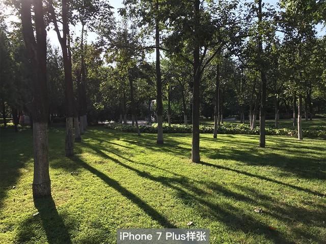 苹果8拍照效果怎么样游戏截图