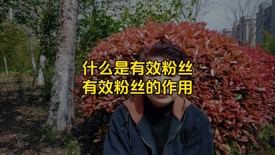 有效粉丝是什么意思游戏截图