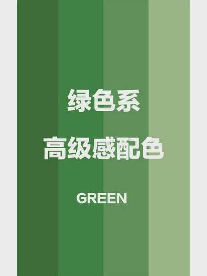 绿色版和安装版哪个好缩略图