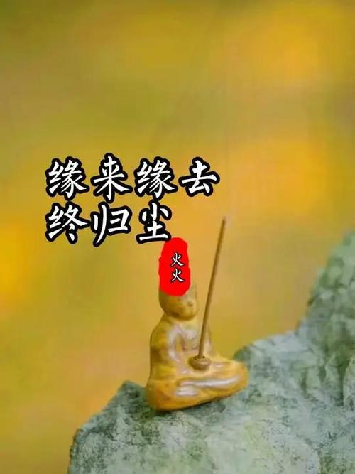 《缘来缘去缘如尘(来生做你枕边人)》缩略图
