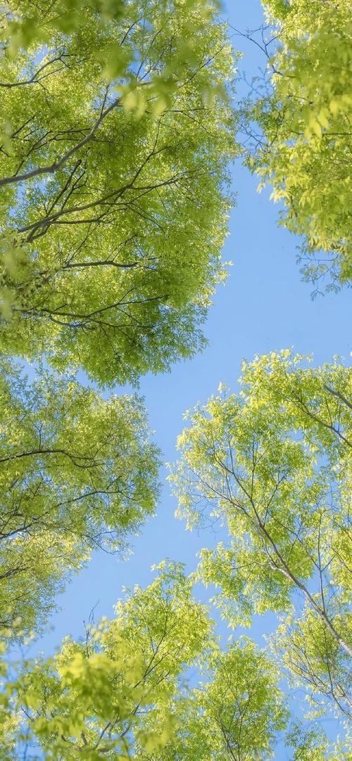 微信朋友圈广告背景图缩略图