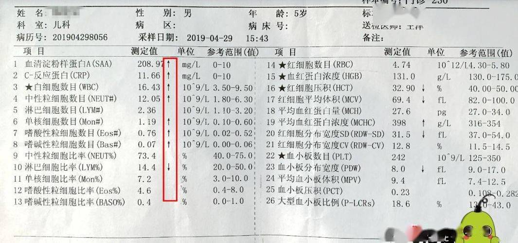 医院检验报告单查询缩略图