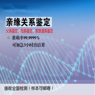 做dna亲子鉴定需要多少钱游戏截图