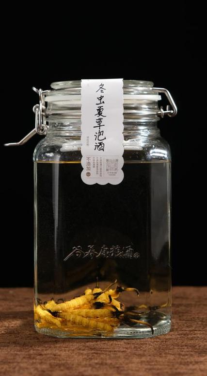 茅台泡冬虫夏草有什么功效图标
