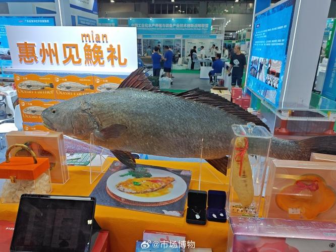 鳘鱼和鮸鱼缩略图