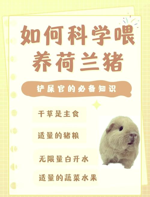 迷你世界怎么养猪喂养繁殖详解缩略图