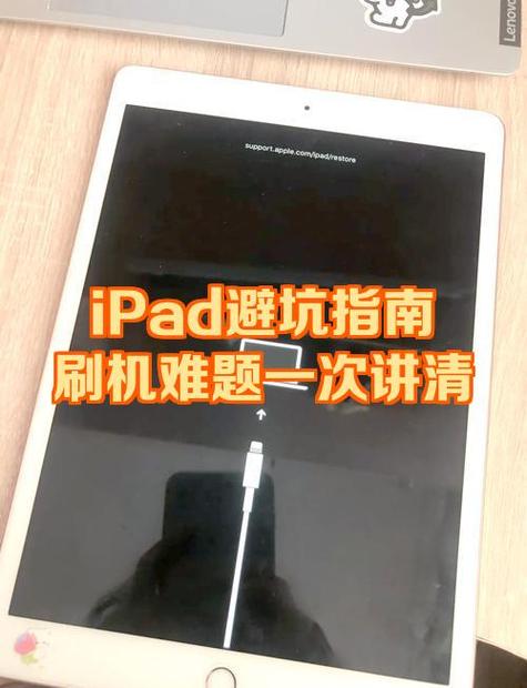 ipad被偷了别人能刷机吗游戏截图
