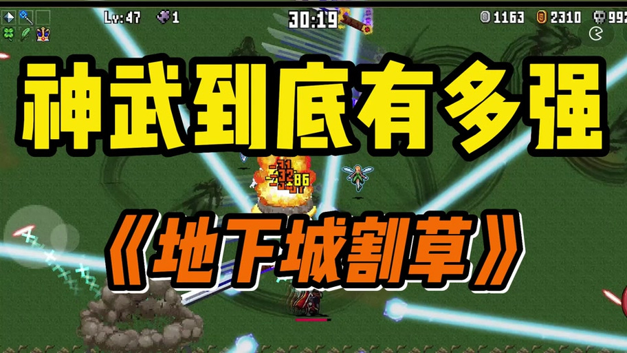 地下城割草无敌版缩略图