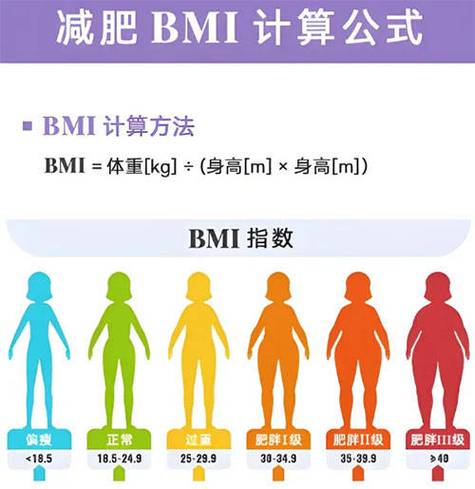 成人bmi指数计算器在线缩略图