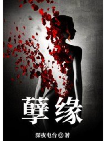 小说《孽缘》缩略图