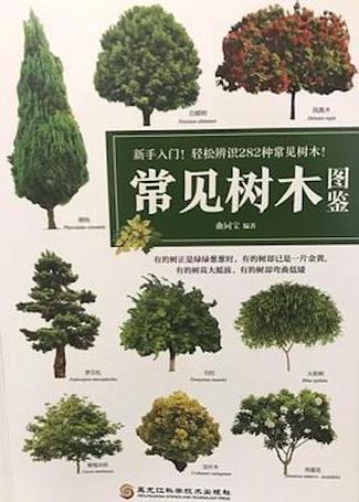 常见50种树木缩略图