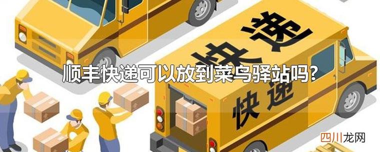 顺丰快递能放菜鸟驿站吗?游戏截图