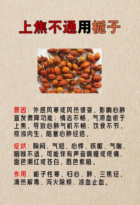 栀子泡水喝的功效缩略图