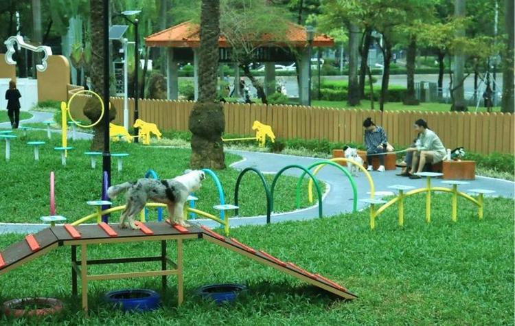 下载狗免费下载缩略图