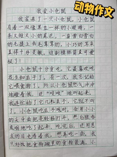 300作文免费可抄缩略图