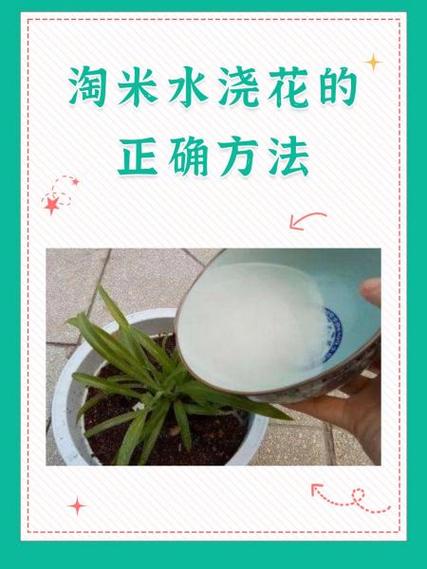 正确的淘米方法淘几遍缩略图