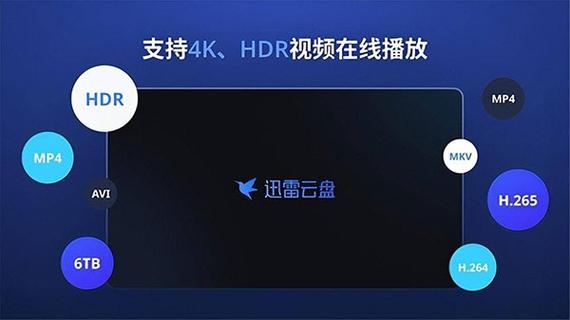 迅雷tv版apk缩略图