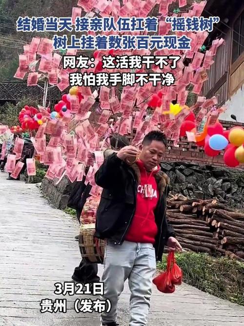 天天领现金摇钱树缩略图